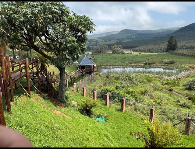 40HA FARM FOR SALE IN BYRNE